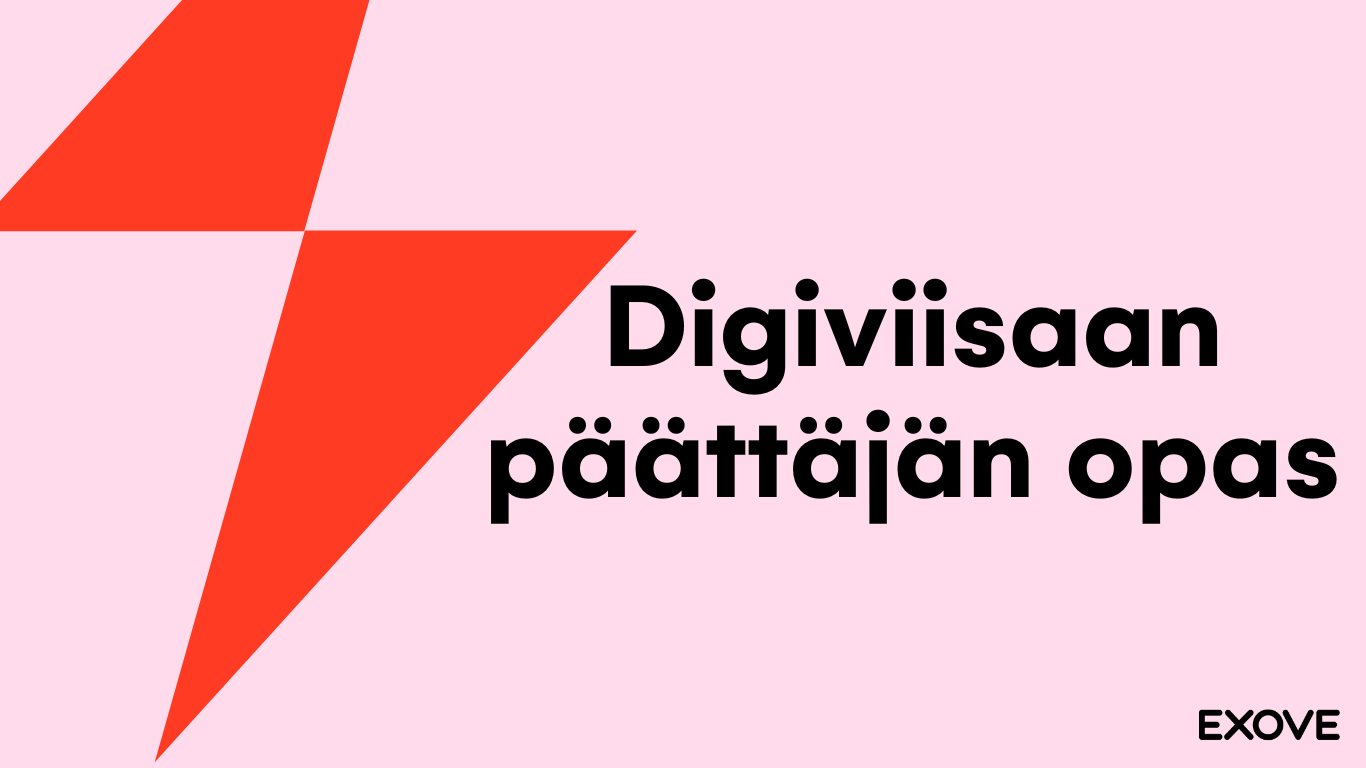 Digiviisaan päättäjän opas banneri.